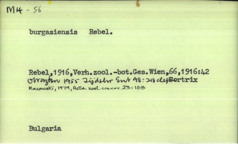 front of card